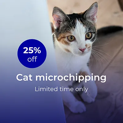 cat microchipping offer